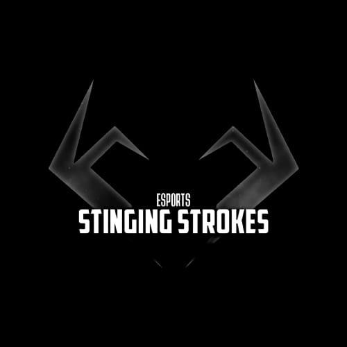 STİNGİNG STROKES E-SPORTS