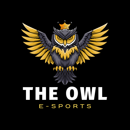 OWL ESPORTS