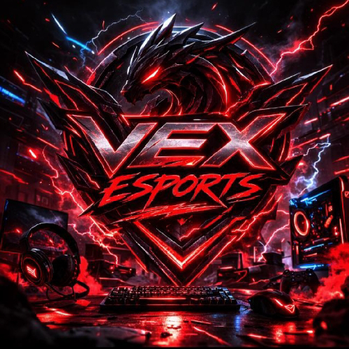 VEX ESPORTSS