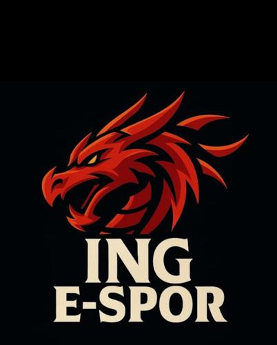 İNG E-SPOR