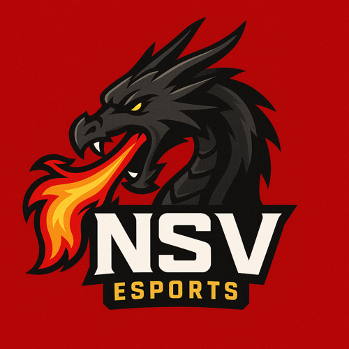 NSV ESPORT