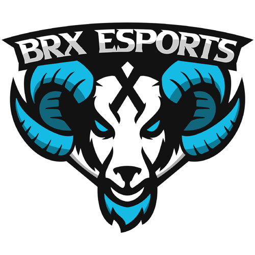 BRX E-sports