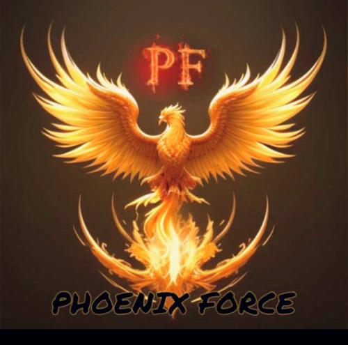 Phoneix Force Academy