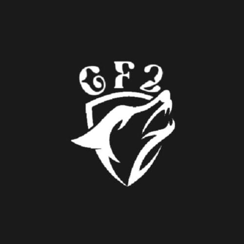 GF2 ACADEMY