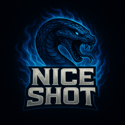 NİCE SHOT ESPORTS
