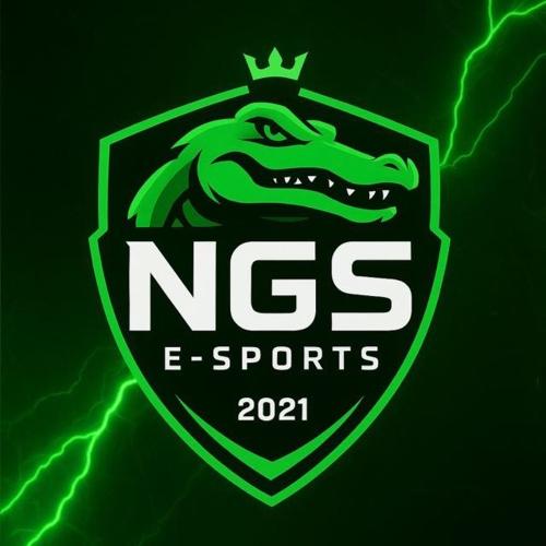 NGS ESPORTS