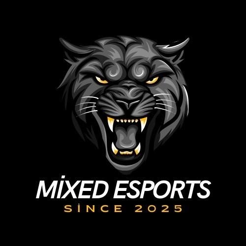 Mixed Esports
