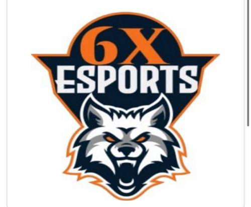 6xEsport