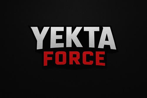 YEKTA FORCE E-SPORTS