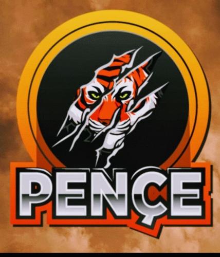 pençe'Esports