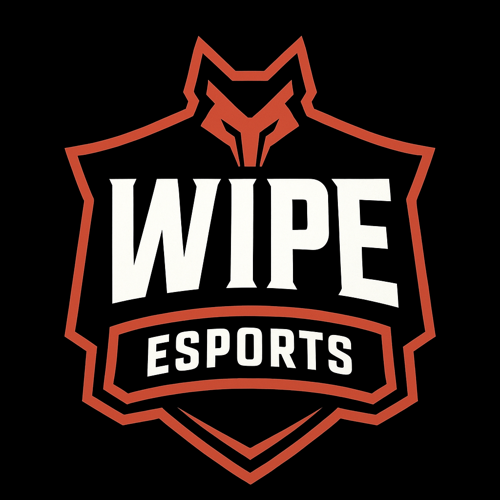 WİPE E SPORTS