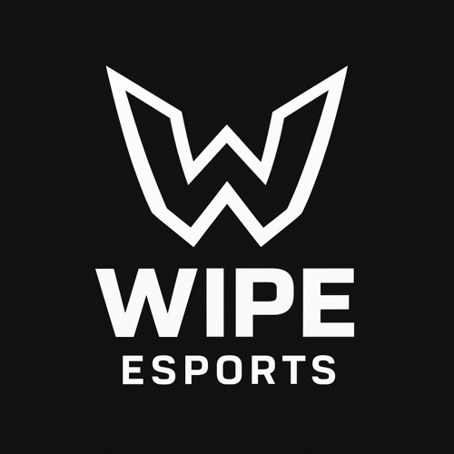 WİPE E SPORTS