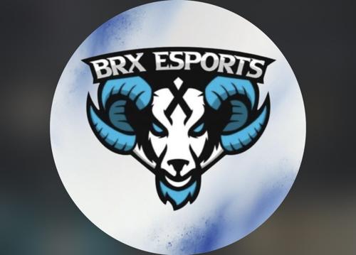 BRX ACADEMY