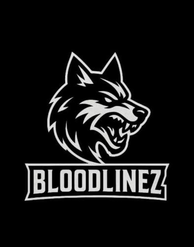 BLOODLİNEZ ESPORT