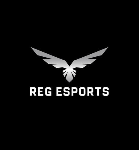 VD ESPORTS