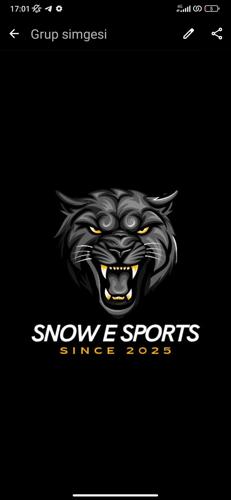 SNOWx ESPORTS