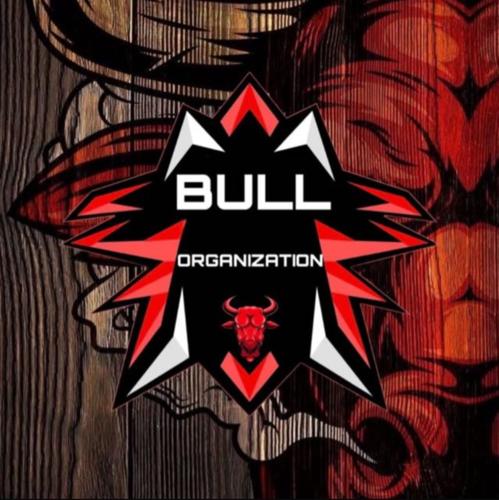 BULL CLASS