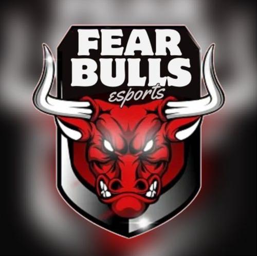 FearBulls