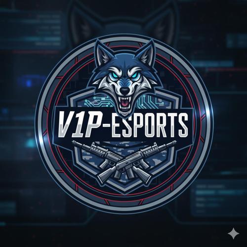 V1P E-SPORTS