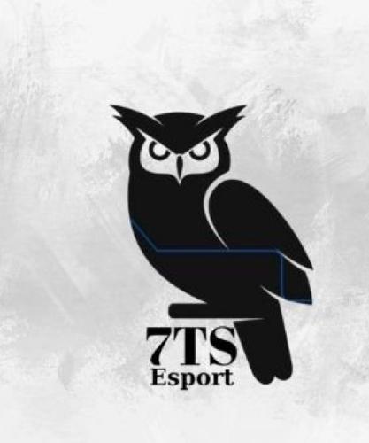 7 The Star Esport