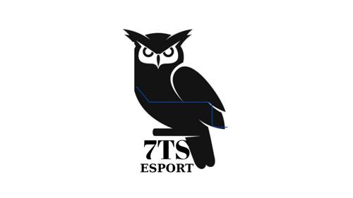 7 The Star Esport