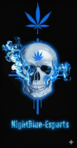 NightBlue-Esports