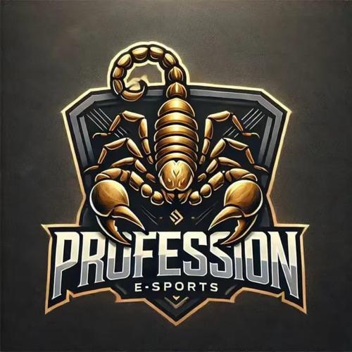 PROF E-SPORTS