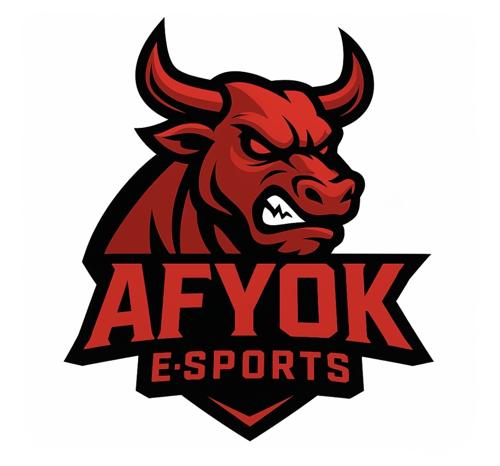 AFYOK E-SPORTS