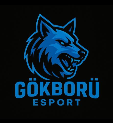 GÖKBÖRÜ E-SPORT