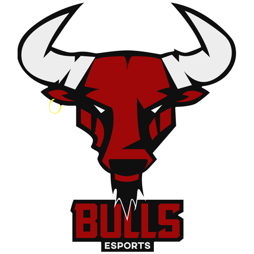 Bulls E-sports