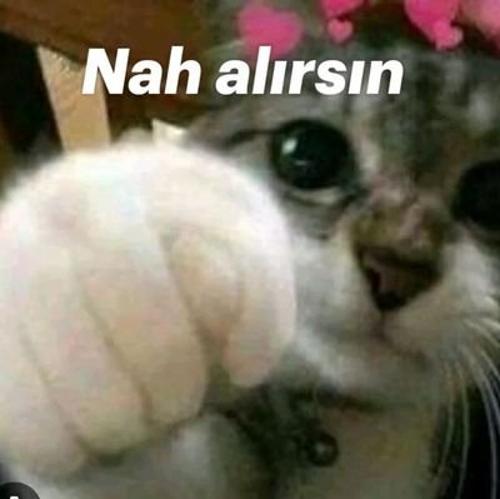 Nah alırsın