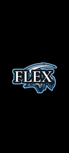 FLEX_34