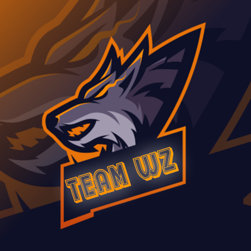 TEAM WZ