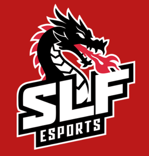 SLF ESPORTS