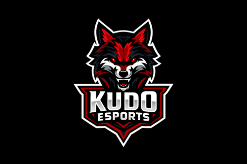 FLUXESPORTS