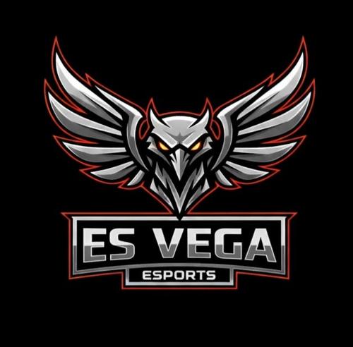 ESVEGAFLY E SPORT