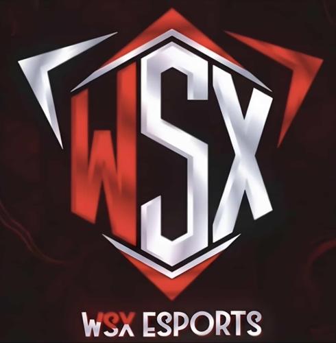 WSX ESPORTSS
