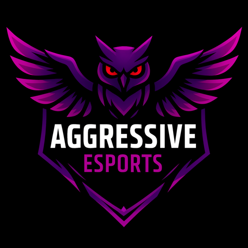 AGGRESSIVE E-SPORTS