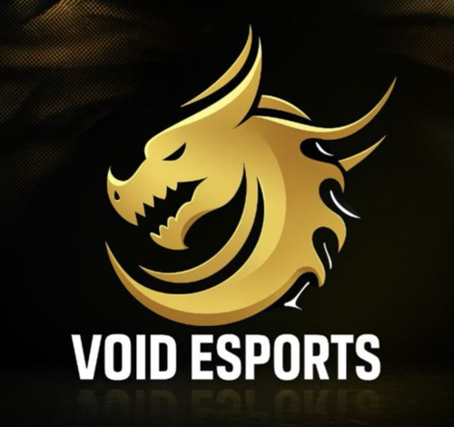VOİD Espor