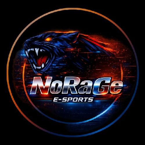 NoRaGe E-Sports
