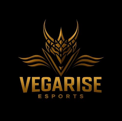 VEGARİSE ESPORTS