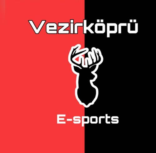 VEZİRKÖPRÜ E SPORTS