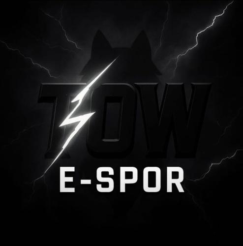 TOW E-SPORTS