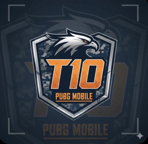 T10 ESPORT