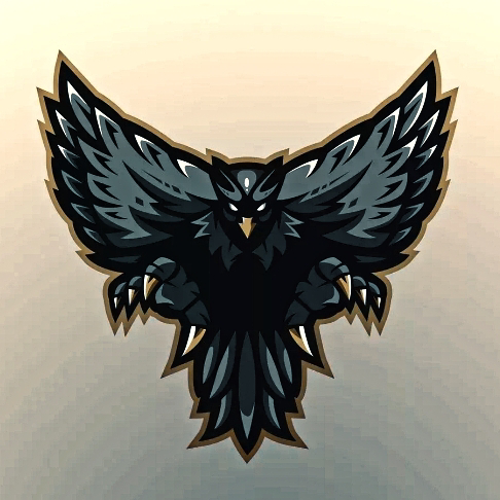 STC E-SPORTS