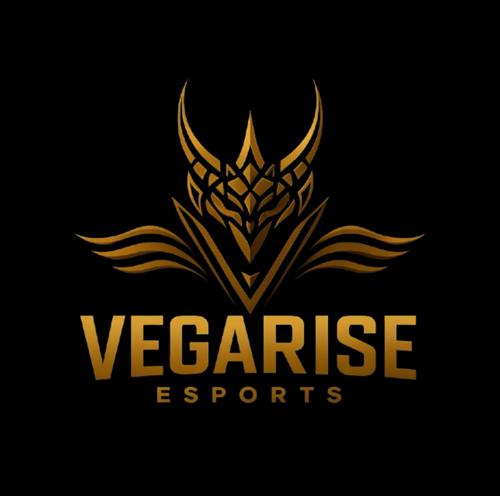 VEGARİSE ESPORTS