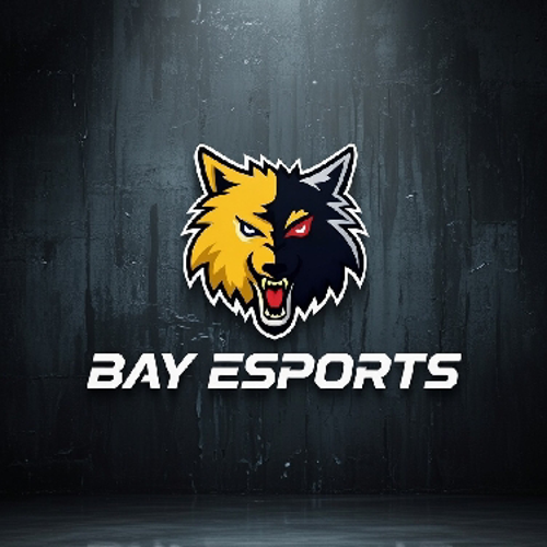 BAY ESPORTS