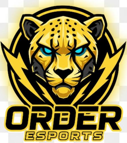 THE ORDER  ESPORTS
