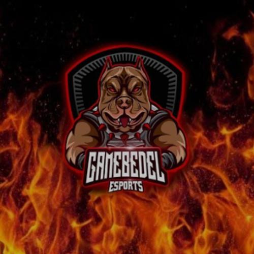 GameBedeL Young Acdemy