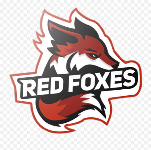 Red Foxes